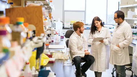 Phòng lab tại York University dành cho các chuyên ngành liên quan