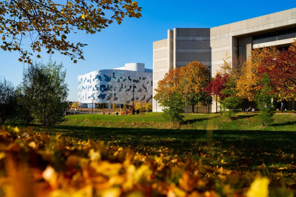 Tối ưu chi phí du học Canada với các suất học bổng danh giá từ York University