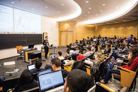 Hội trường học tập của York University